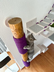 Op de muurkrabpaal klimt een kat naar boven, langs het paarse sisal touw.