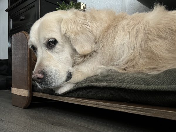 Houten hondenmand Pineo