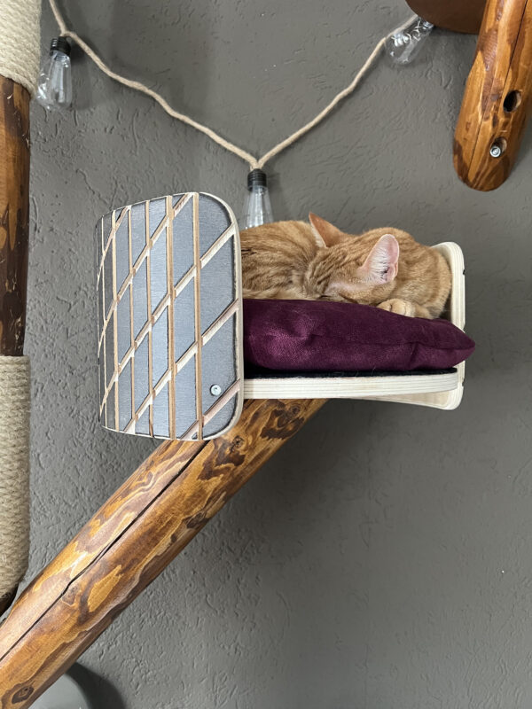 Houten kattenmand Element met patroon aarde. Gemonteerd aan een zijtak van een muur krabpaal.
