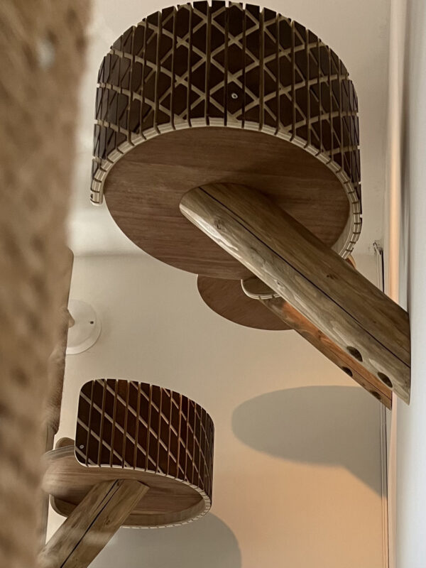 Houten katten manden 'Element' gemonteerd op stammen aan de muur.