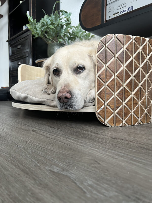 Houten hondenmand Element