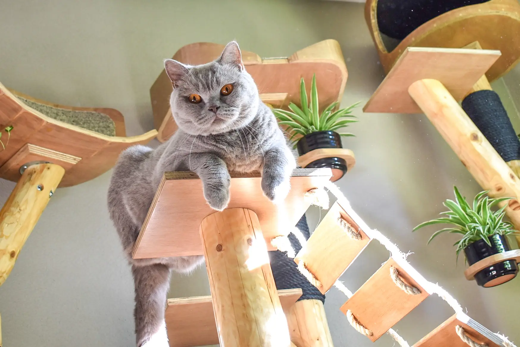 M-CAT3